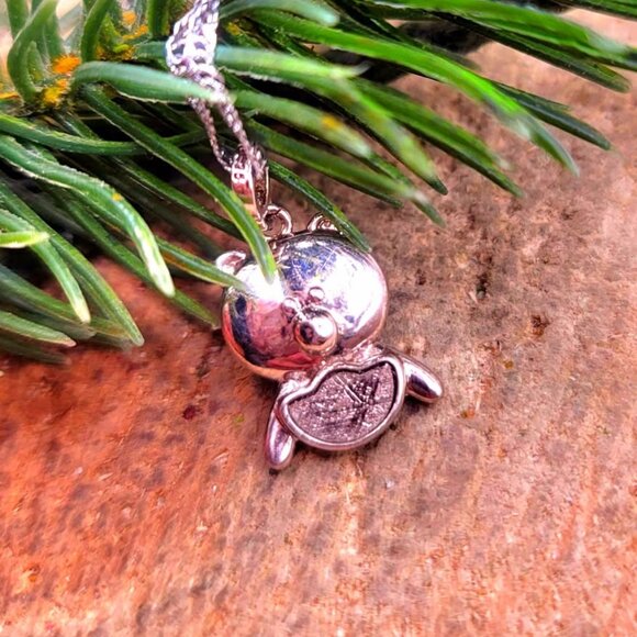 Genuine Nature Gibeon Meteorite Pig  Carries Gold 925 Pendant Necklace - Picture 5 of 10